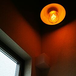 玄関/入り口/階段おどりば/階段の照明のインテリア実例 - 2016-12-14 11:15:43