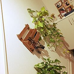 玄関/入り口/ごちゃごちゃが好き/生活感のある家/観葉植物/DIYのインテリア実例 - 2017-01-05 22:15:40