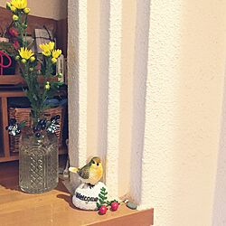 玄関/入り口/100均/観葉植物/雑貨のインテリア実例 - 2016-04-16 14:25:34