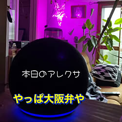 間接照明のある暮らし/カラーLEDライト/Instagramへ/会話を楽しむ/うちのアレクサ...などのインテリア実例 - 2022-07-19 21:42:48