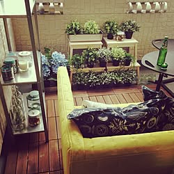 部屋全体/DIY/観葉植物/IKEA/フェイクグリーンのインテリア実例 - 2016-01-17 01:35:04