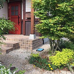 玄関/入り口/花のある暮らし/花壇/ガーデニングのインテリア実例 - 2017-05-03 09:36:15