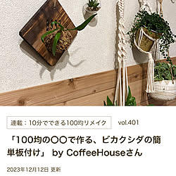 壁/天井/苔玉/コウモリラン板付け/ダイソーの鍋敷き/100均リメイク...などのインテリア実例 - 2023-12-12 17:57:38