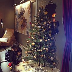 棚/クリスマスツリー/IKEA/息子/娘のインテリア実例 - 2014-10-18 22:26:52
