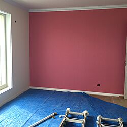 部屋全体/ピンクの壁/壁紙のインテリア実例 - 2016-11-10 00:22:39