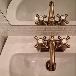 バス/トイレ/洗面室/水栓/真鍮のインテリア実例 - 2012-12-19 20:30:11