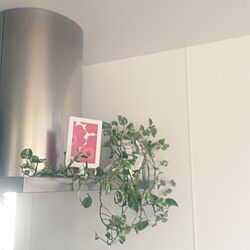 キッチン/換気扇上/観葉植物/IKEA/マリメッコのインテリア実例 - 2014-05-04 09:38:43