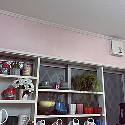 壁DIY/二人暮し/キッチンインテリア/いぬと暮らす/キッチン棚...などのインテリア実例 - 2022-02-04 11:18:05