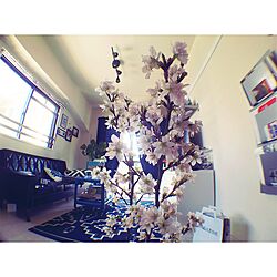 部屋全体/桜/花見/花瓶/BLUE好き...などのインテリア実例 - 2016-03-20 12:54:37