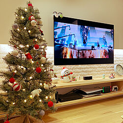 間接照明/テレビ壁掛け/クリスマスツリー150cm/コウペンちゃん/リビングのインテリア実例 - 2021-12-15 20:09:37