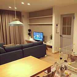 部屋全体/ミックス犬/シーズー/ゲージ/ダイニング照明...などのインテリア実例 - 2016-10-21 22:57:23