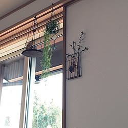 部屋全体/雑貨/私の癒し達♡/植物/サビサビ♡...などのインテリア実例 - 2015-02-16 14:29:12