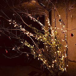 クリスマスLED/クリスマス/クリスマスツリー/クリスマスイルミネーション/我が家のシンボルツリー...などのインテリア実例 - 2020-12-06 13:34:00