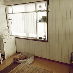 部屋全体/愛犬/DIYのインテリア実例 - 2016-08-11 13:45:29