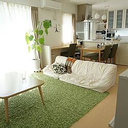 部屋全体/似たような写真ですみません/シンプルがすき/ＲＣ愛知/観葉植物...などのインテリア実例 - 2015-10-06 13:29:01