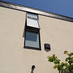 西側の窓/植物/中庭のある家/窓/壁/天井のインテリア実例 - 2020-05-22 07:51:03