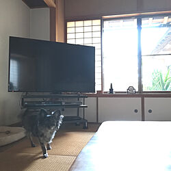 机/畳の部屋のインテリア実例 - 2019-06-12 14:37:00