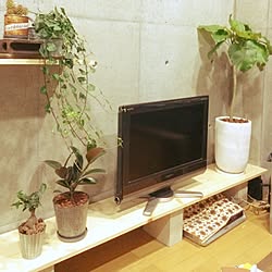 リビング/観葉植物/一人暮らし/ナチュラルのインテリア実例 - 2016-04-17 20:31:44