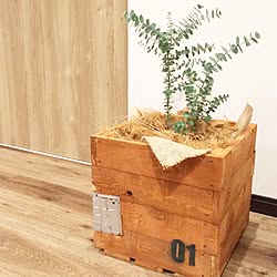 古材/グリーン/植物/DIY/プランターカバーDIY...などのインテリア実例 - 2015-11-17 21:04:23