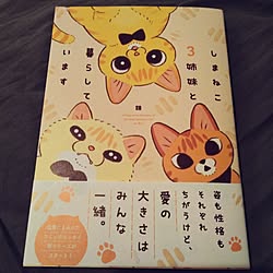 部屋全体/今月の新刊/類/しまねこ３姉妹と暮らしています/茶トラのやっちゃんのインテリア実例 - 2023-05-24 22:30:14