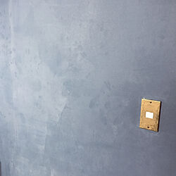 失敗例/壁紙に塗れるペンキ/リビングのインテリア実例 - 2022-01-05 17:30:10