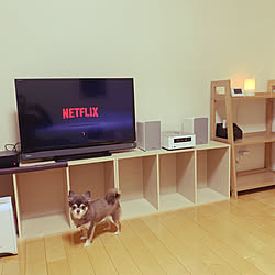 富士通　脱臭機/無印良品/アロマディフューザー 無印/Netflix/中古住宅...などのインテリア実例 - 2020-03-31 00:07:08