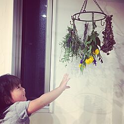 壁/天井/ig/cocco0505/I make dried flower/庭づくりDIY/庭...などのインテリア実例 - 2016-10-25 19:41:51