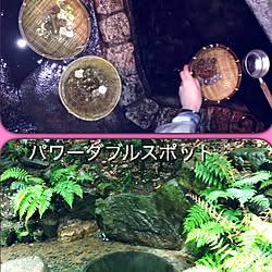 玄関/入り口/増えますように(・∀・)ｲｲﾈ!!/雨だから暗いな…/旅行のお土産。/旅行の思い出...などのインテリア実例 - 2015-04-25 07:03:04