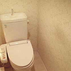バス/トイレ/トイレ改造計画/壁紙のインテリア実例 - 2016-11-22 12:22:38