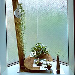 玄関/入り口/エアプランツ/出窓ディスプレイ/観葉植物のインテリア実例 - 2016-06-09 13:48:50