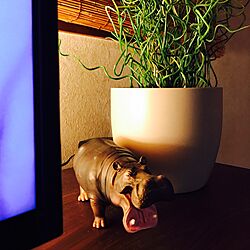 リビング/観葉植物/IKEA/テレビ台/雑貨のインテリア実例 - 2017-04-02 19:14:13