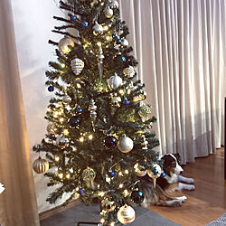 クリスマス/クリスマスツリー/フロアタイル/ペットと暮らす家/オーダー家具...などのインテリア実例 - 2020-12-16 21:17:57