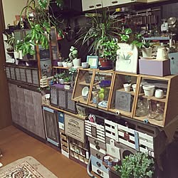 部屋全体/観葉植物/多肉植物/カッティングボード/引き出しDIY...などのインテリア実例 - 2016-05-20 22:01:42