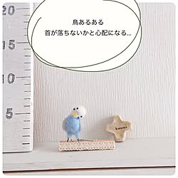 ベッド周り/セキセイインコグッズ/セキセイインコのまめちゃん/羊毛フェルト/とり雑貨...などのインテリア実例 - 2017-02-15 15:48:35