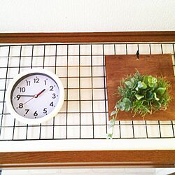 壁/天井/100均/植物のインテリア実例 - 2016-06-21 13:51:12