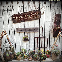 JUNK GARDEN/NO GREEN NO LIFE/JUNK雑貨/garden/お部屋の中のGW...などのインテリア実例 - 2019-05-08 20:44:24