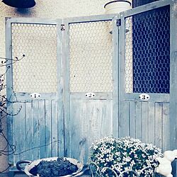 玄関/入り口/リメイク/観葉植物/手作り/ガーデン...などのインテリア実例 - 2014-04-14 19:00:49