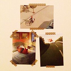 壁/天井/ミヒャエル・ゾーヴァ/ポストカード集めてます。/一人暮らし/ポストカードのインテリア実例 - 2015-04-07 23:08:59
