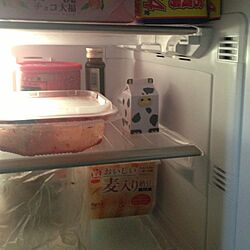 キッチン/冷蔵庫の中のインテリア実例 - 2013-09-01 19:50:59