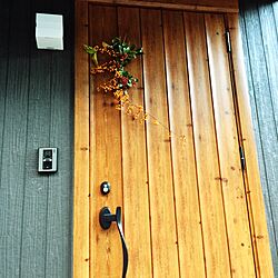 玄関/入り口/植物のインテリア実例 - 2014-11-03 17:21:58