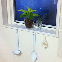 キッチン/キッチンの窓/植物/雑貨のインテリア実例 - 2013-03-16 17:54:29