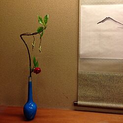 壁/天井/植物/和室のインテリア実例 - 2013-04-01 23:21:46