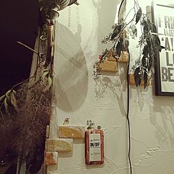 壁/天井/塗り壁/かるかるブリック/観葉植物のある暮らし/植物...などのインテリア実例 - 2017-06-16 04:55:52
