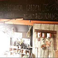 壁/天井/DIY/インドアグリーン/植物/ダイソーのカラーボード...などのインテリア実例 - 2015-03-06 11:36:03