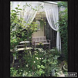 ベッド周り/緑のカーテン/IKEAカーテン/ウッドデッキ/窓枠...などのインテリア実例 - 2016-06-20 09:52:27