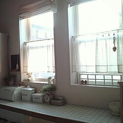 キッチン/3coinsのカフェカーテン/室内グリーン/手づくり窓枠風飾り/3COINSのインテリア実例 - 2014-01-22 07:40:22