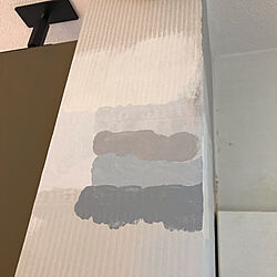ペンキ塗り/壁紙屋本舗/DIY/壁/天井のインテリア実例 - 2020-07-26 17:13:04