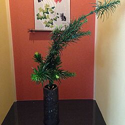 壁/天井/照明/和室/季節の飾り/植物...などのインテリア実例 - 2014-08-12 08:55:03
