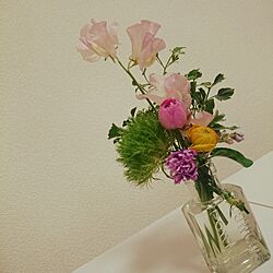 リビング/植物のある暮らし/花のある暮らし/ラナンキュラス/ホワイトインテリアのインテリア実例 - 2017-03-07 23:43:53