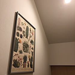 雑貨/IKEA/多肉植物/壁/天井のインテリア実例 - 2019-09-18 18:45:37